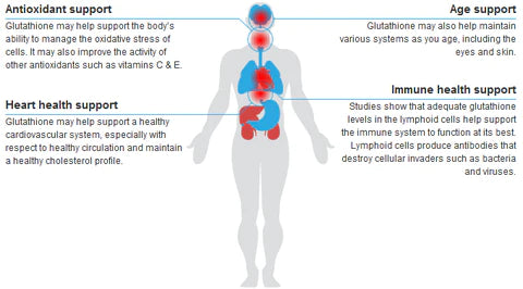 Glutathione: The ‘Master Antioxidant'